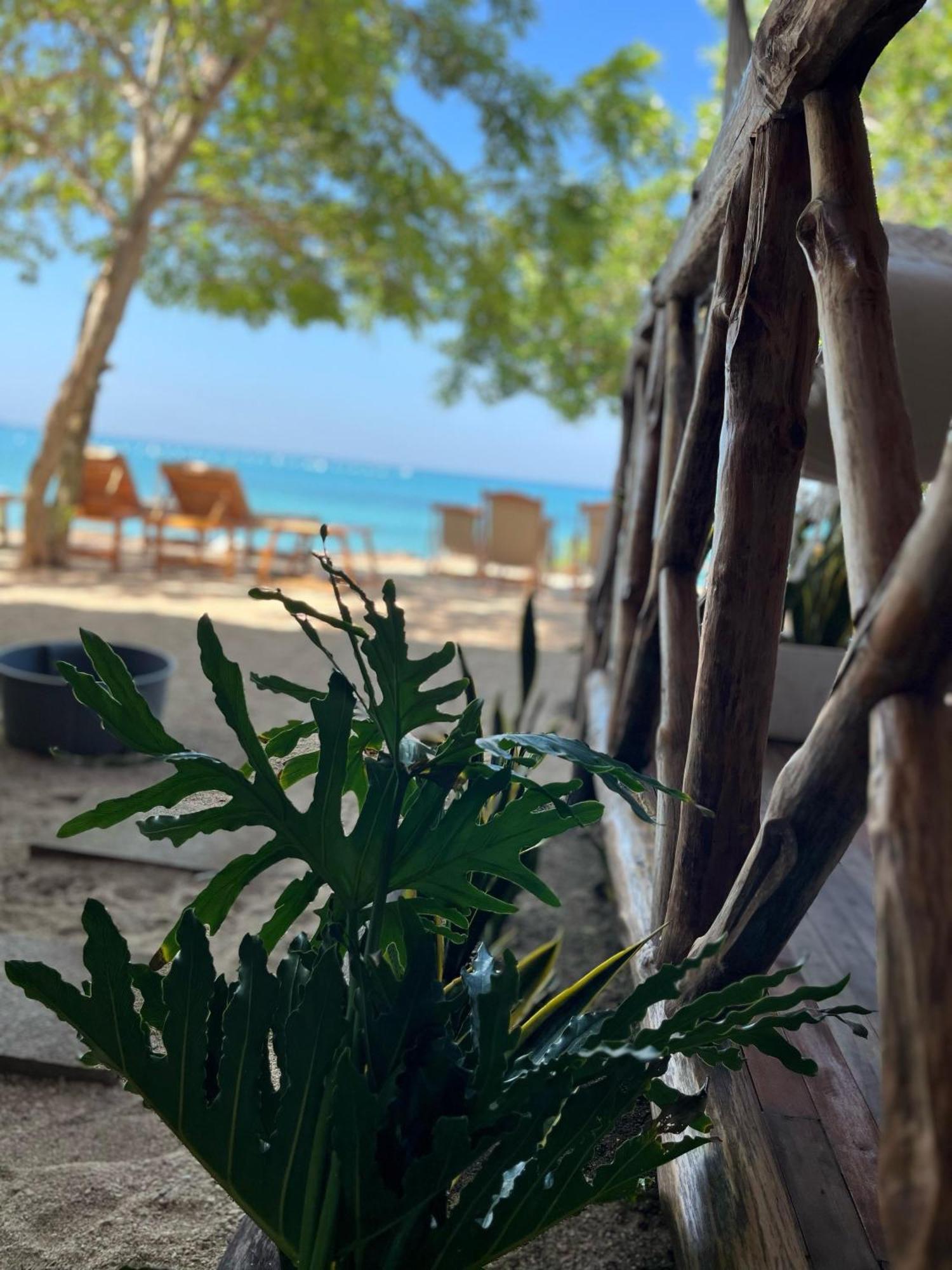 Thani Ecobeach Baru Playa Blanca Buitenkant foto